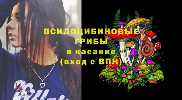 кокс Арсеньев